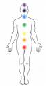 Human body and the seven colored chakra energy points