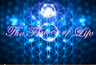Flower of Life Hologram